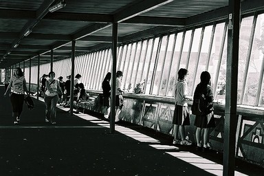  This is part of a series of images I took during a walk through Auckland City at lunch time